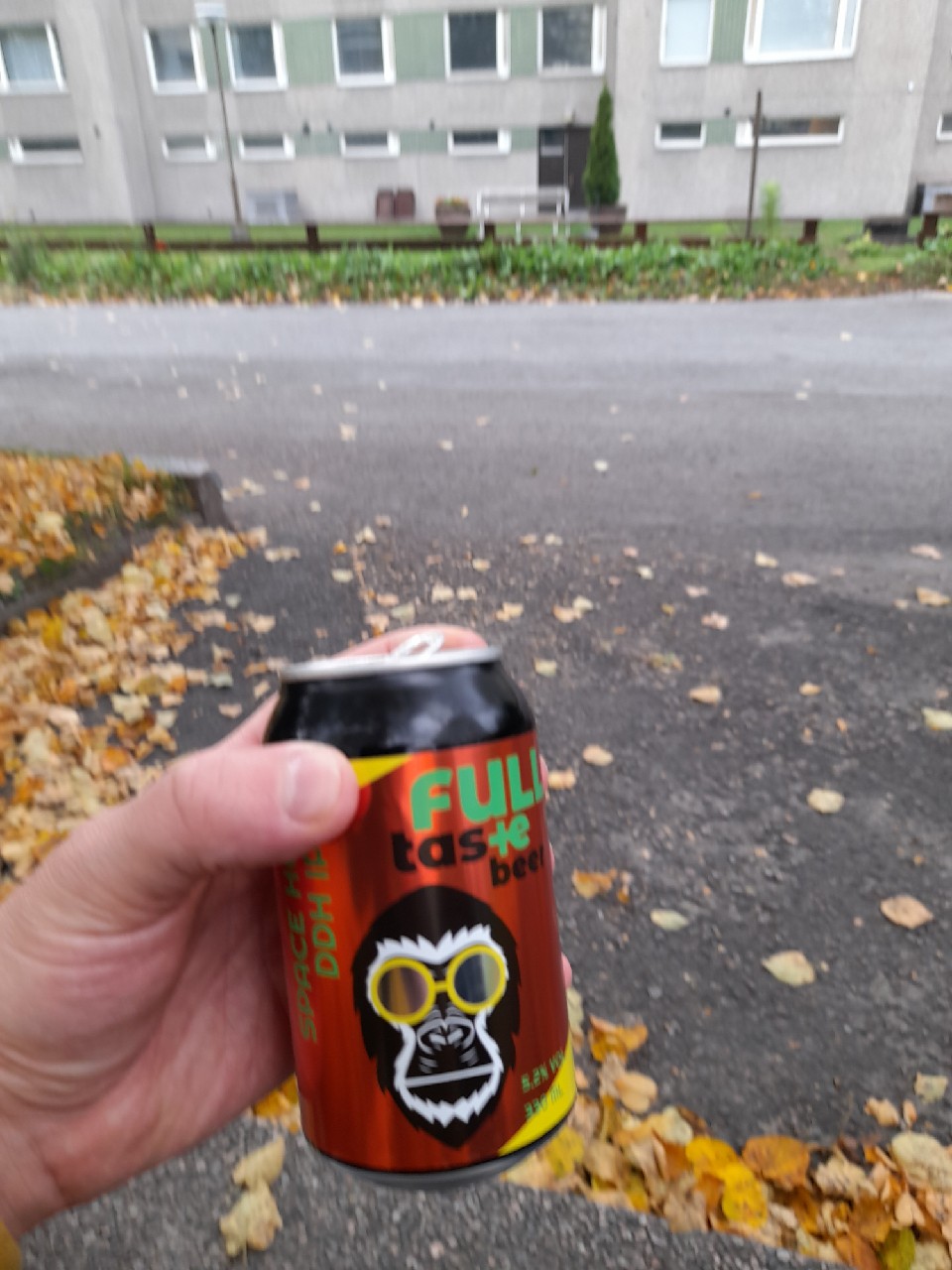 #019 Space Hop DDH IPA, Finland