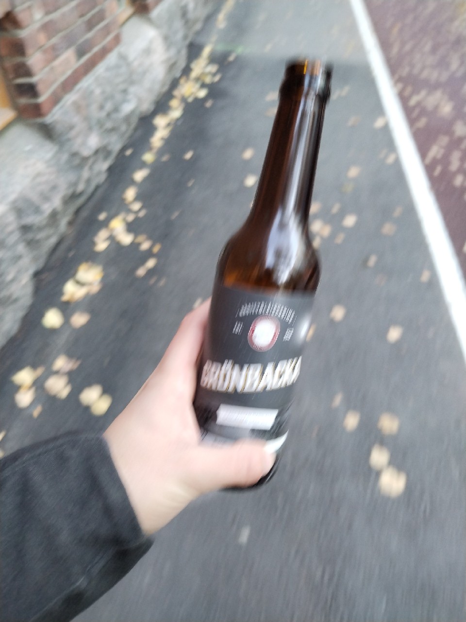 Cascadian Dark Ale 5,5 %, Finland