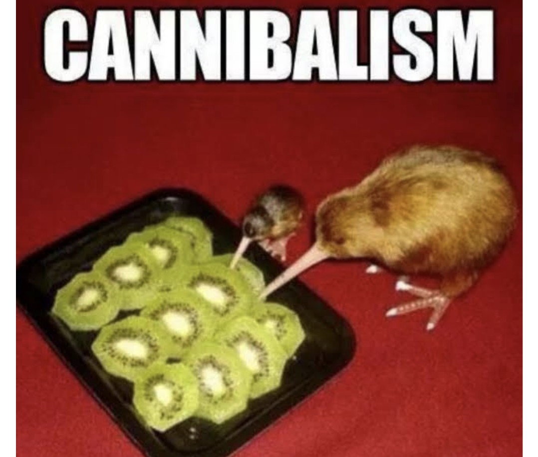 White Rabbit, England