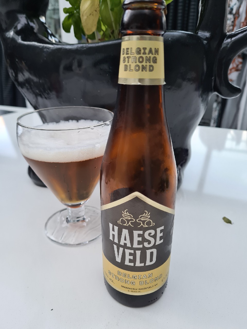 Haeseveld, Belgium