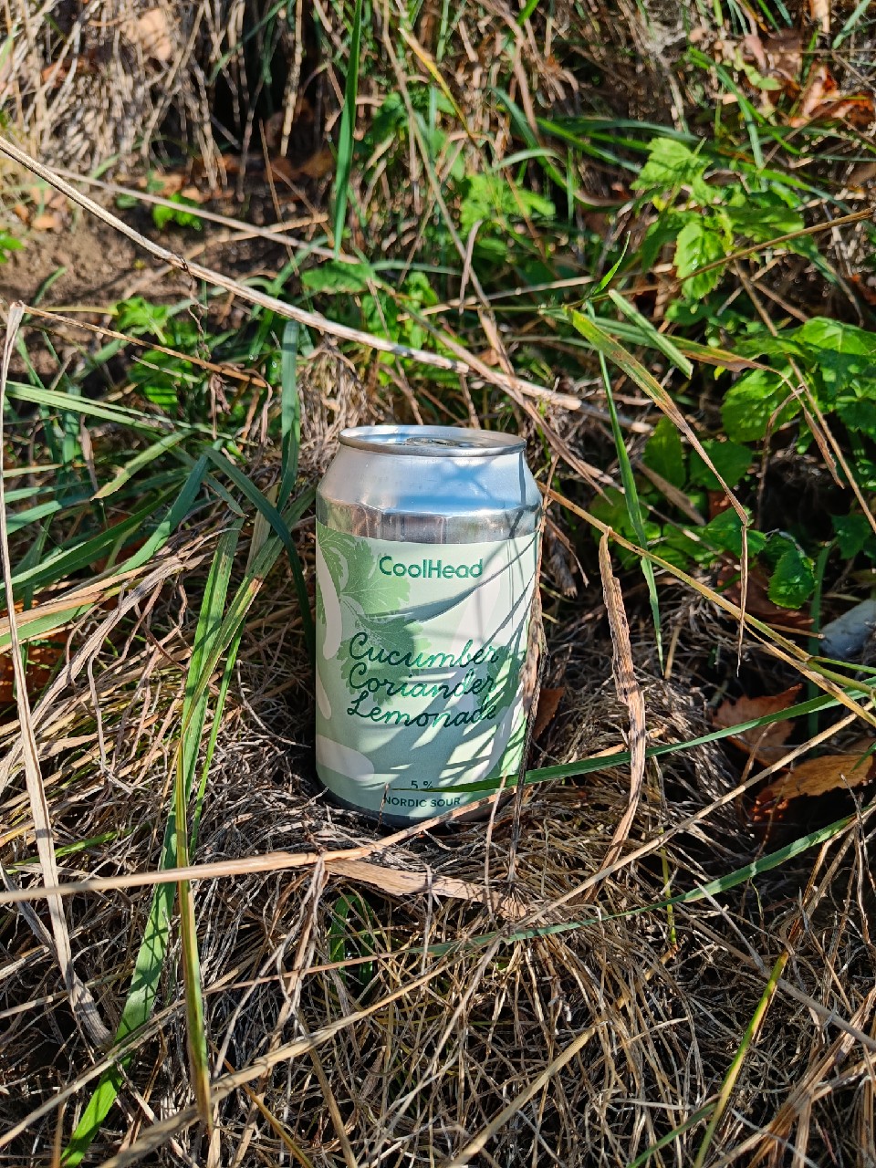 Cucumber Coriander Lemonade, Finland