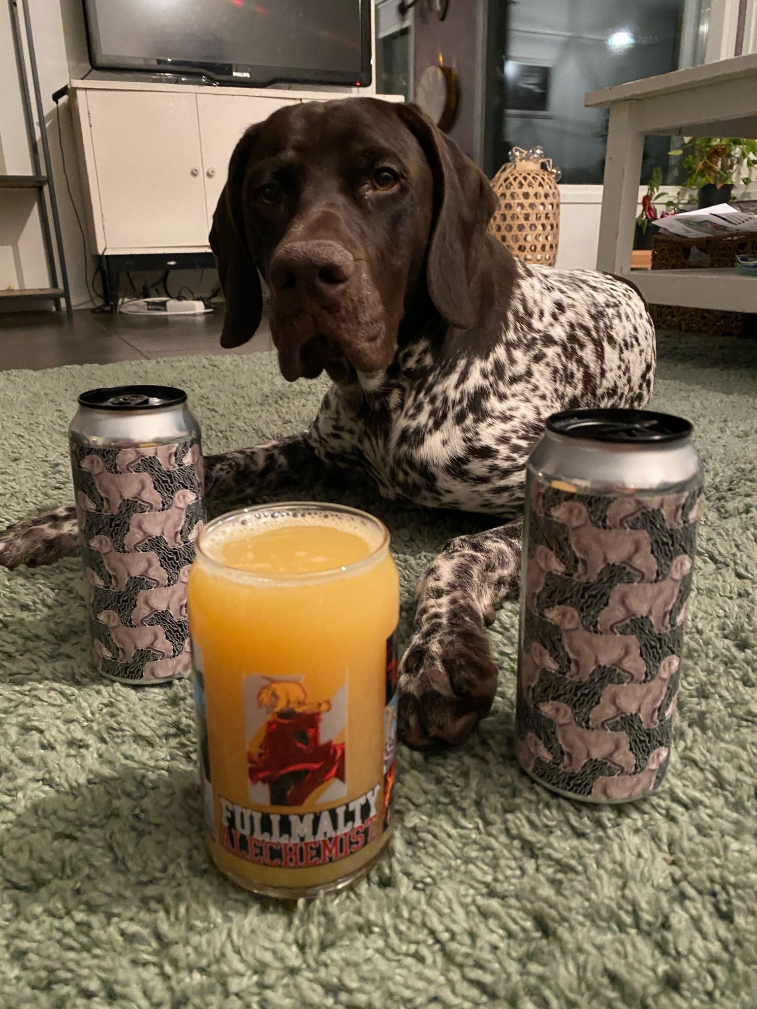 Covered In Puppies, United States