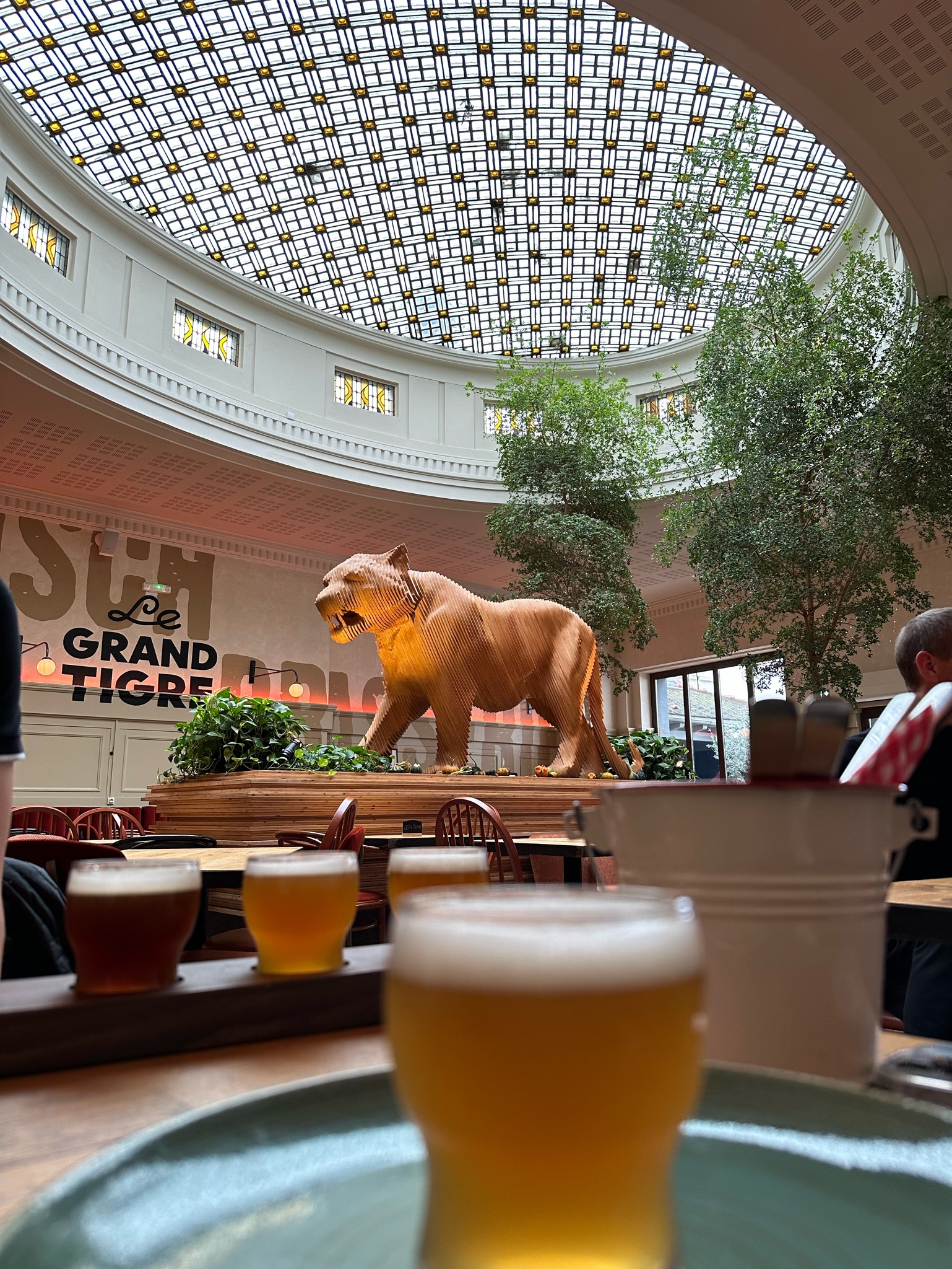 Tigre Bock IPA, France