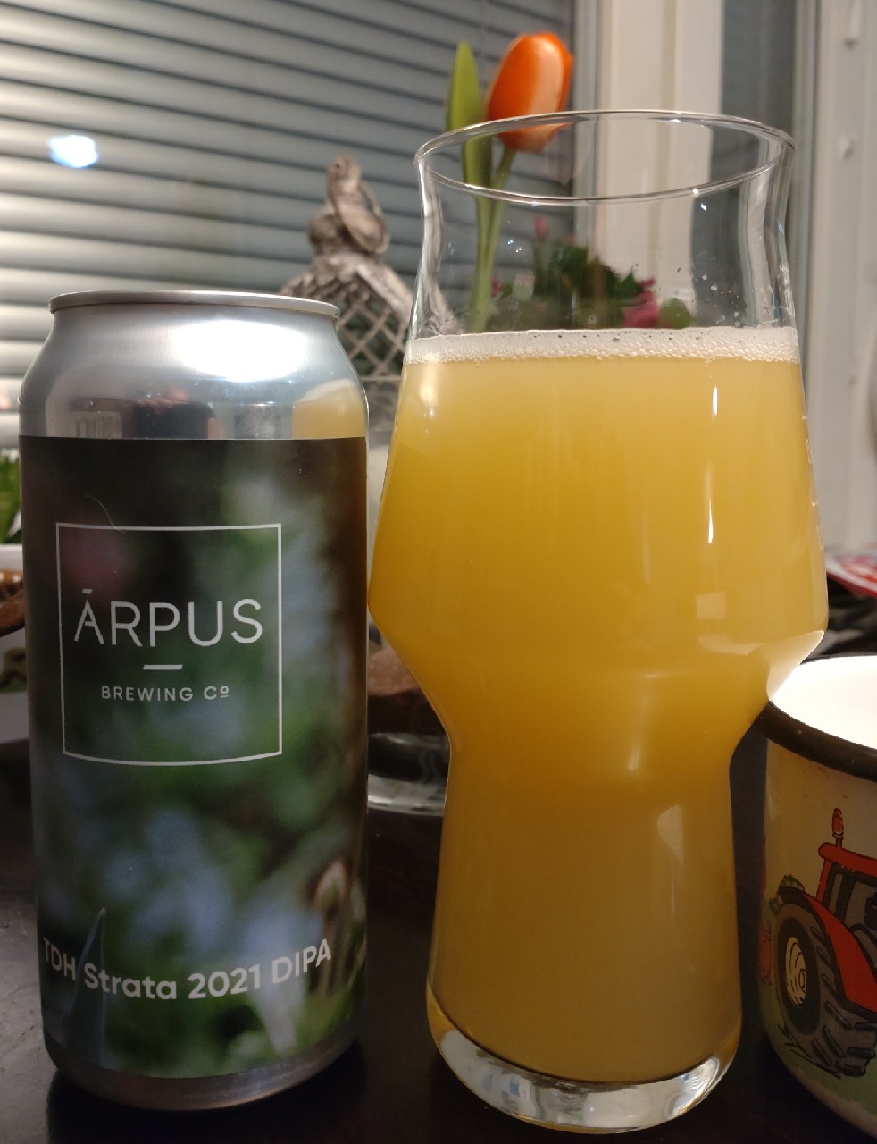 TDH Strata 2021 DIPA, Latvia