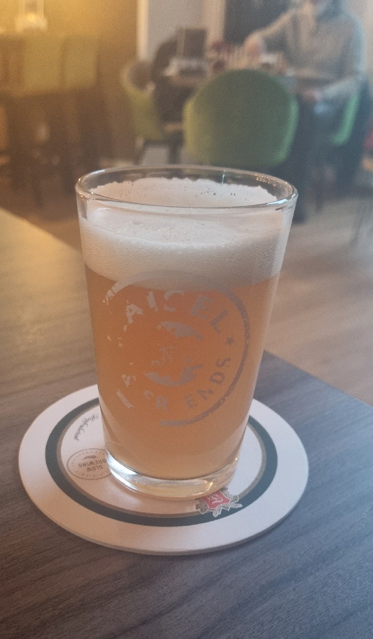 Schwarze Rose Mana, Germany