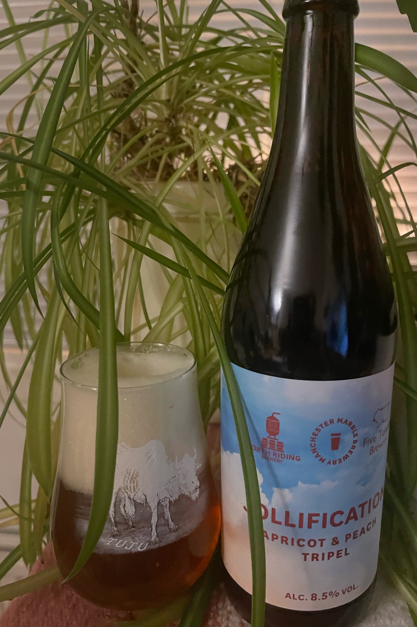 Jollification Apricot & Peach Tripel, England