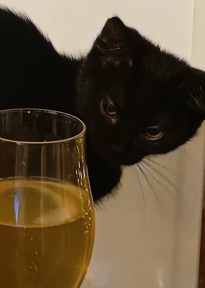 Hopsan Dry Hop Apple Cider, Finland