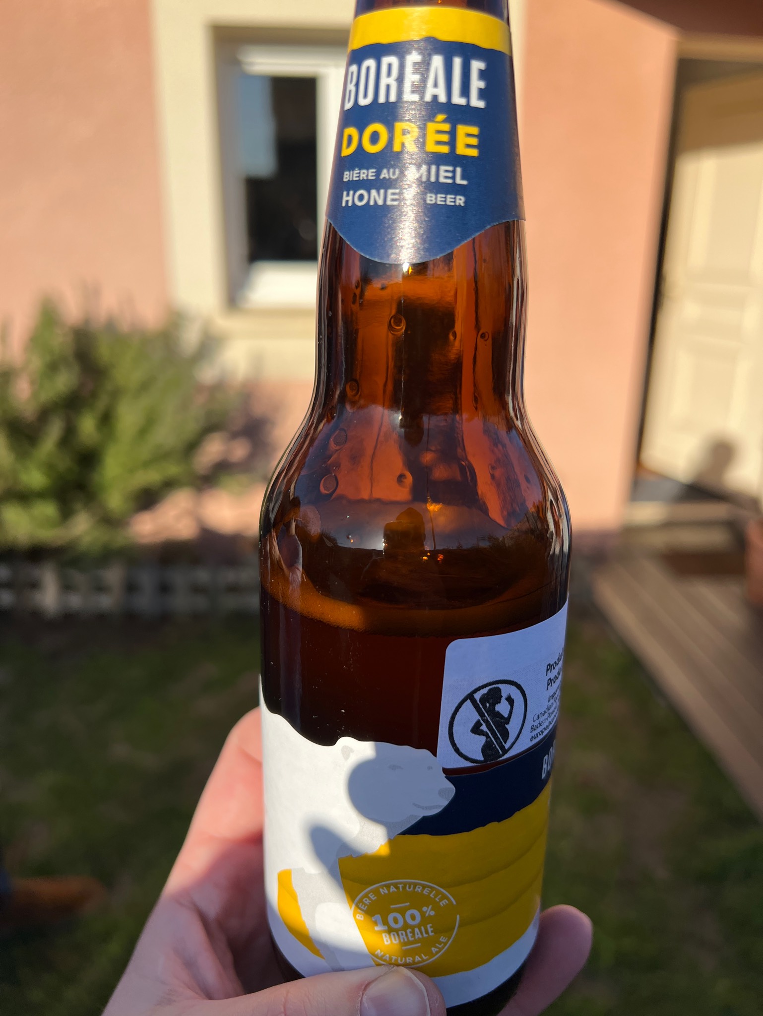 Boréale Dorée, Canada