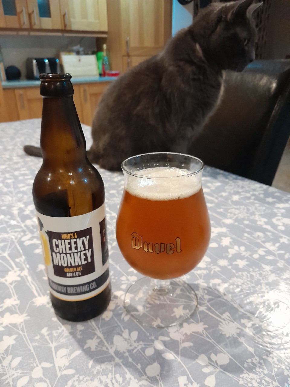 Who's a cheeky monkey, Parkway Brewing Company