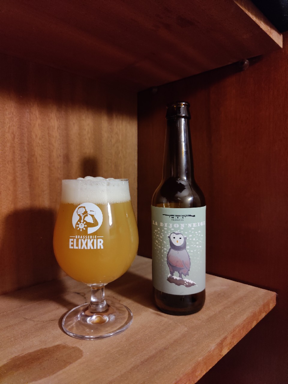 La Dijon'Neige, France