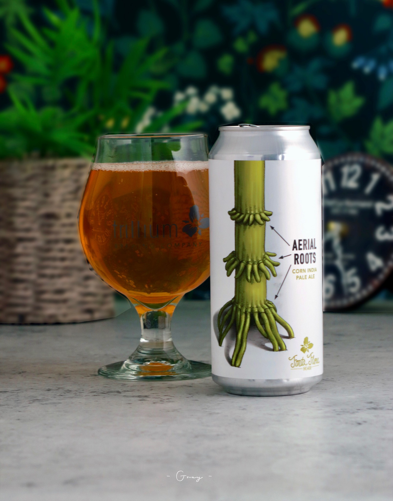 Aerial Roots, United States