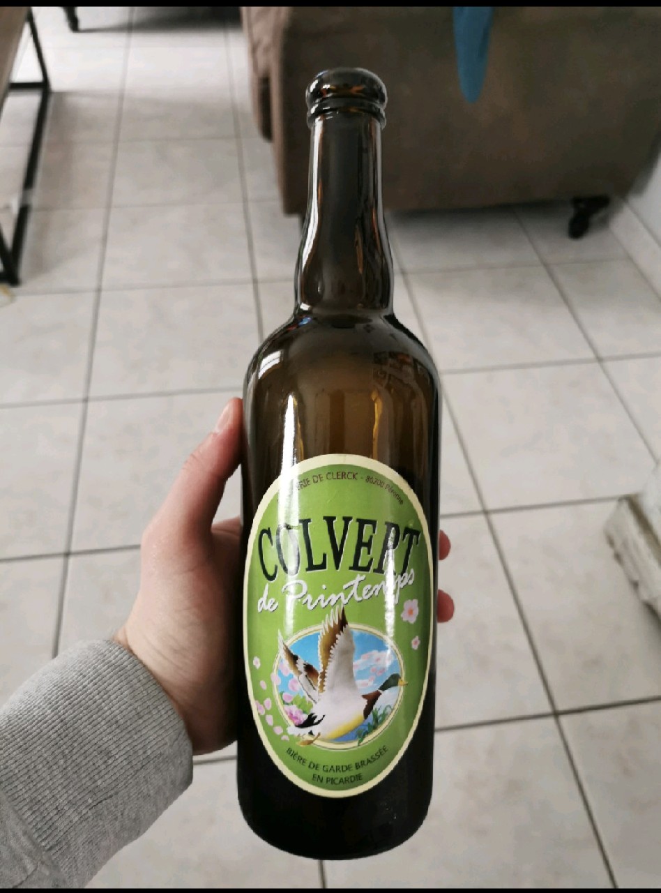 Colvert De Printemps, France