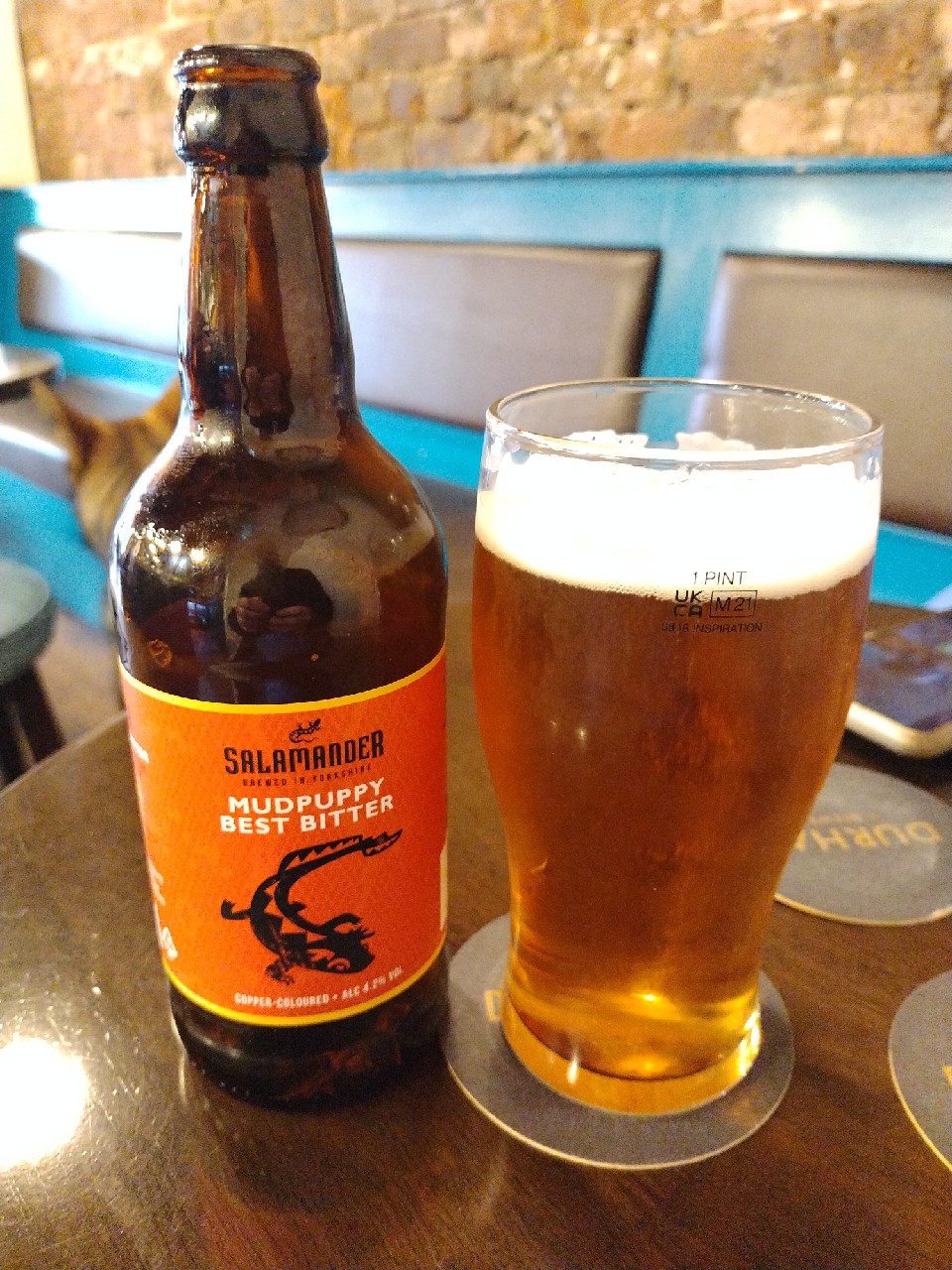 mudpuppy best bitter, England