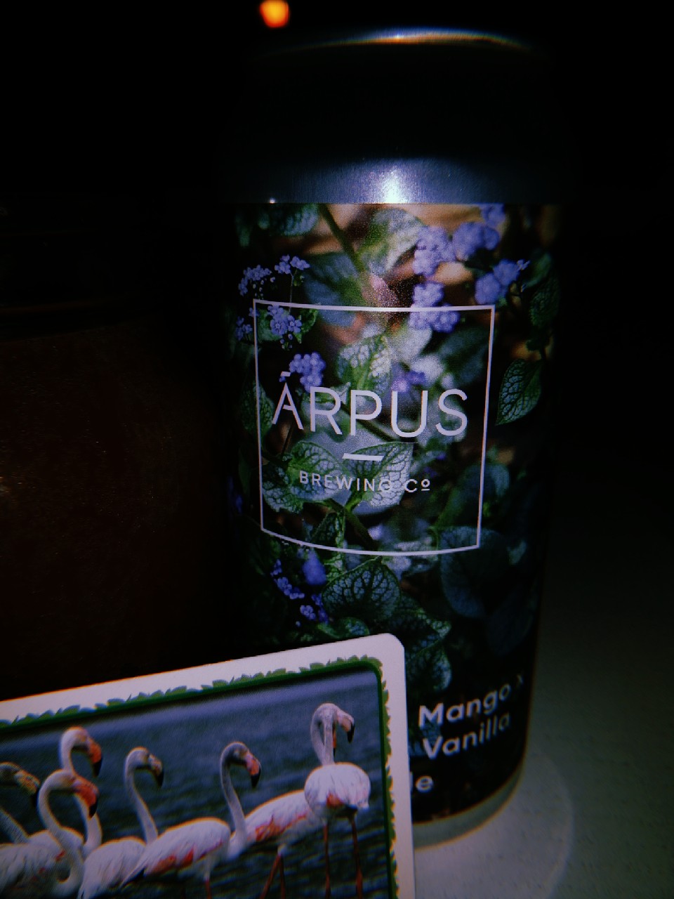 Blackcurrant x Mango x Passionfruit x Vanilla Sour Ale, Latvia