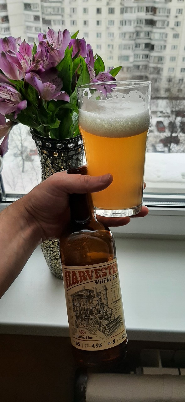 Harvester Wheat Beer, Russia