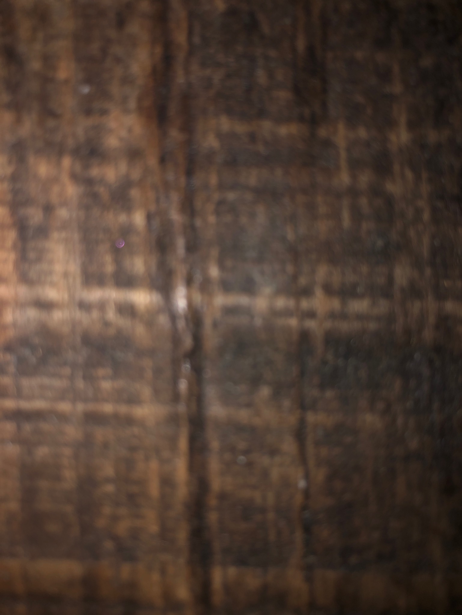 le trou du diable la morsure, Canada