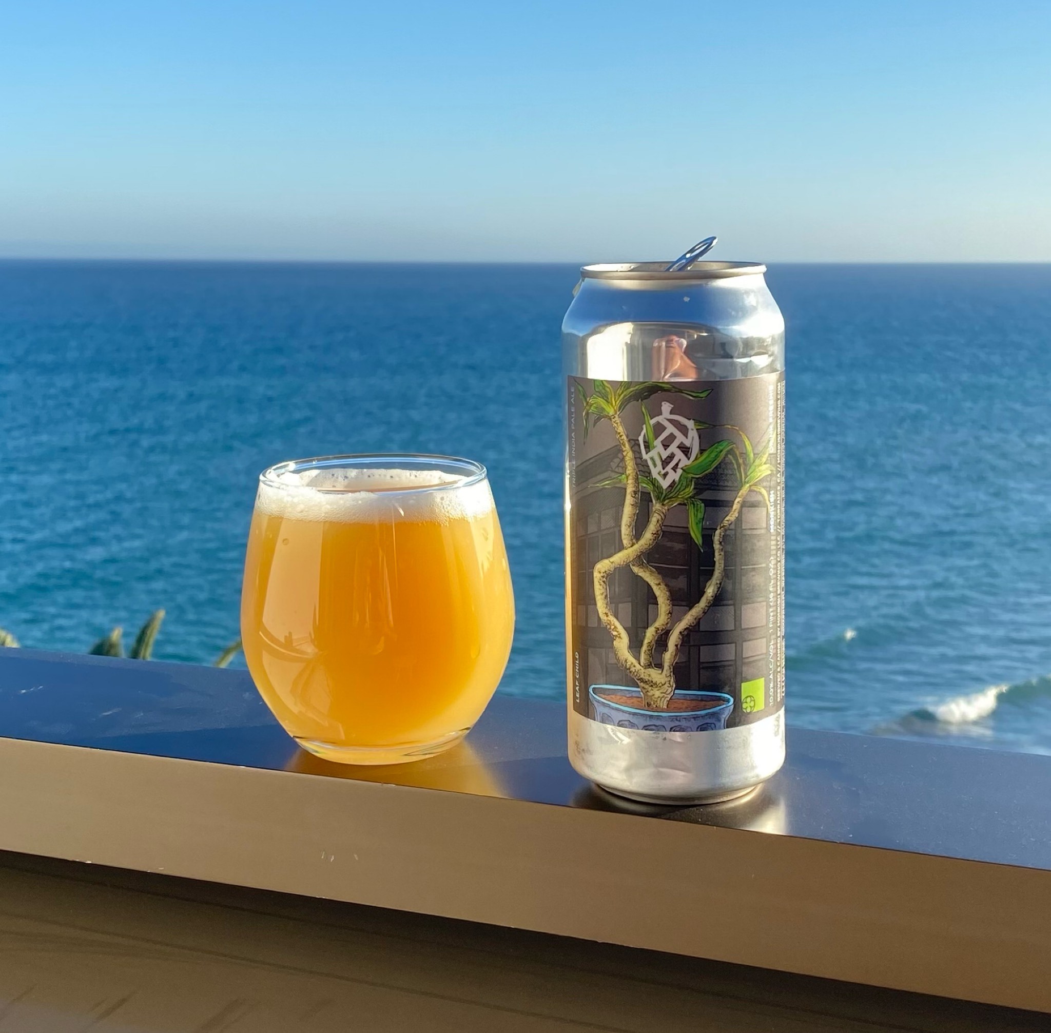 Leaf Child, United States