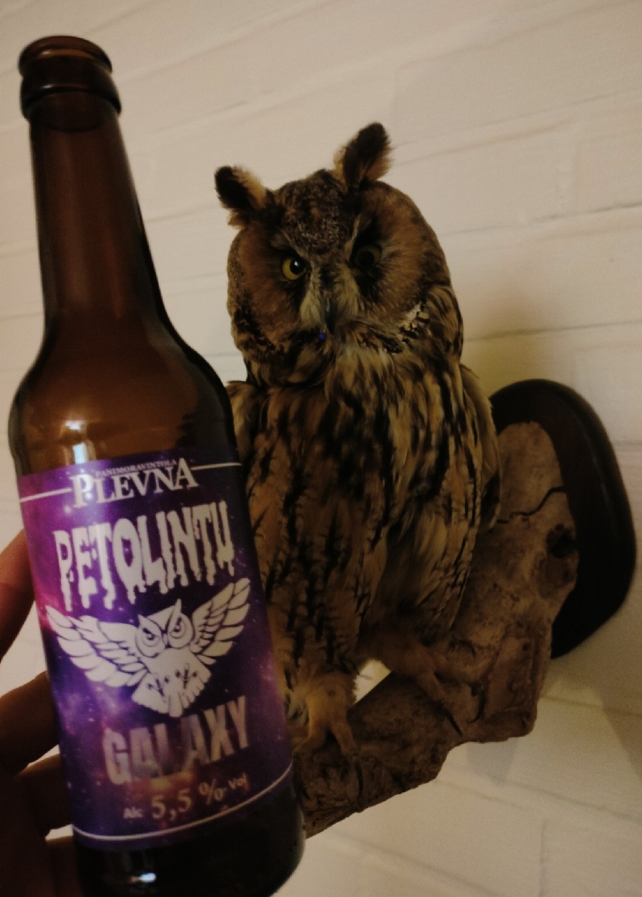 Petolintu Galaxy, Finland