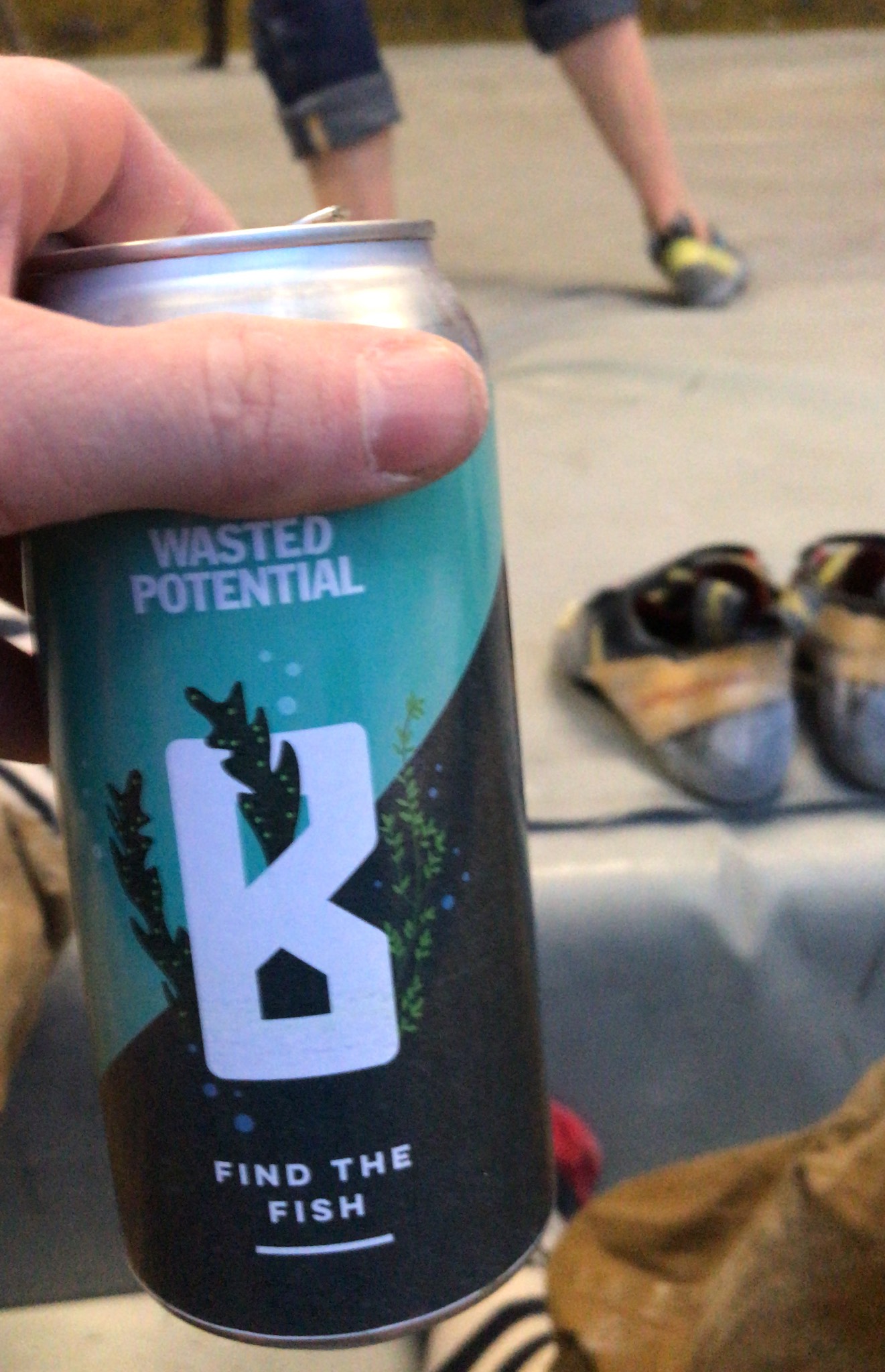 Find the Fish, Finland