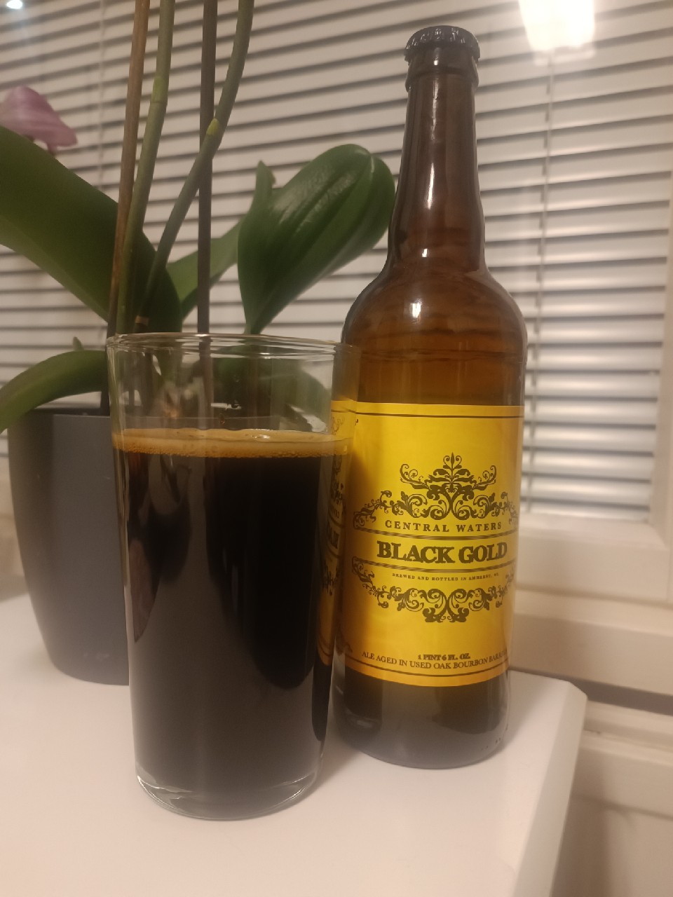 Black Gold (2022), United States