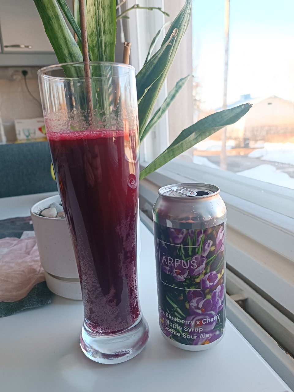 Peach x Blueberry x Cherry x Maple Syrup Smoothie Sour Ale, Latvia