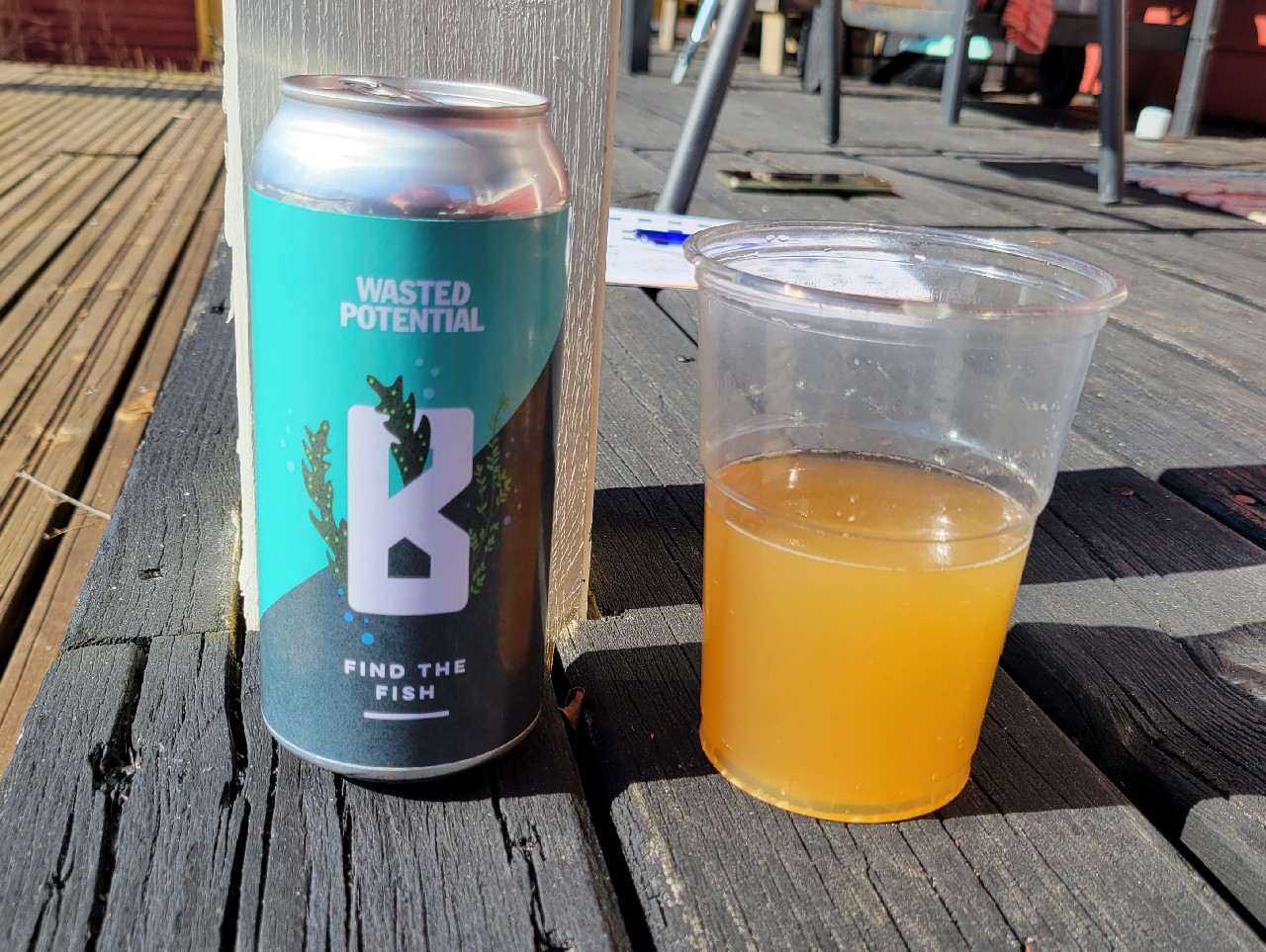 Find the Fish, Finland