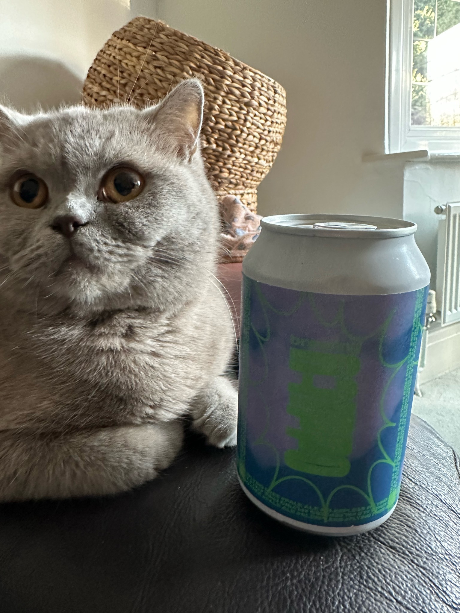 Sleepless Pale Ale, Oddity Brewing
