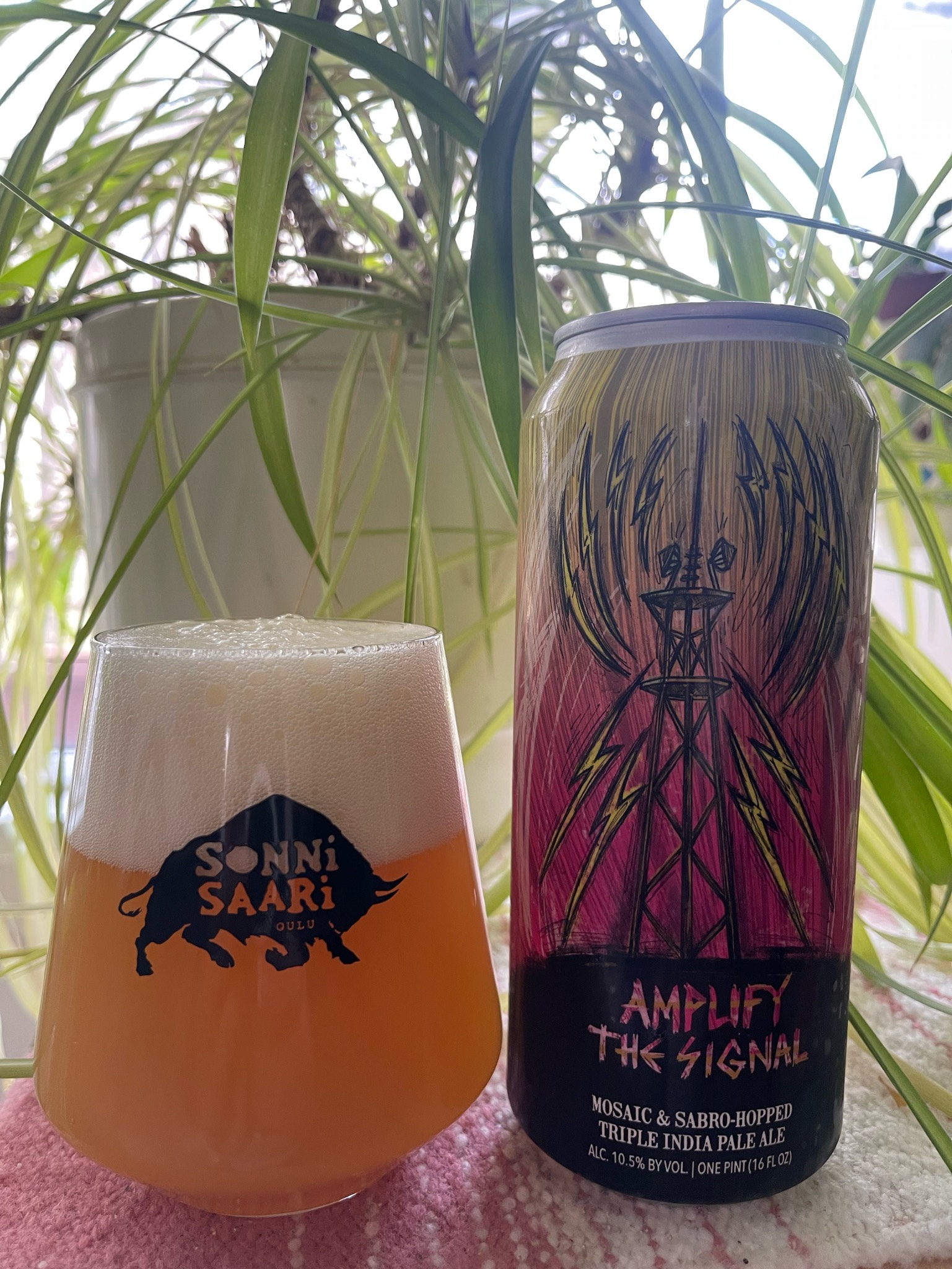 Amplify the Signal, United States