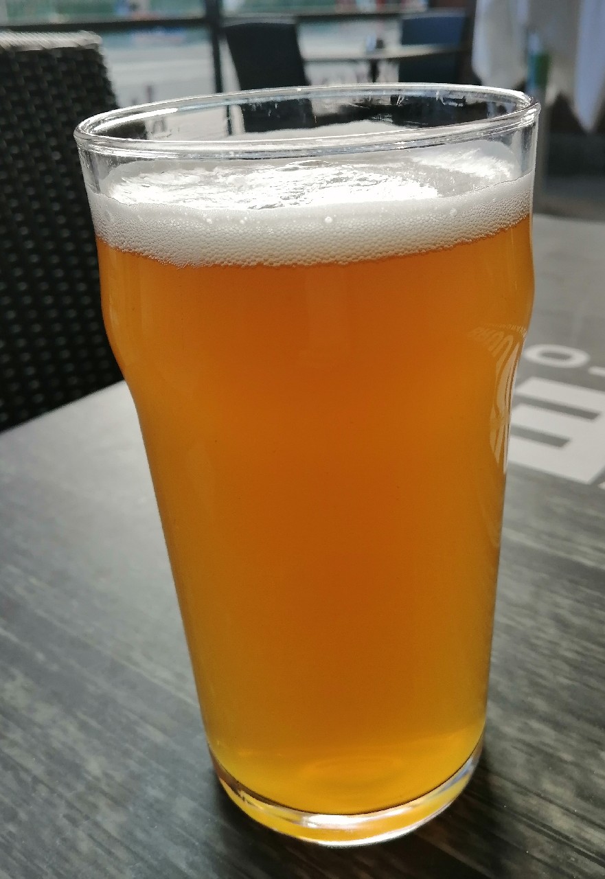 Fissio IPA #1, Finland