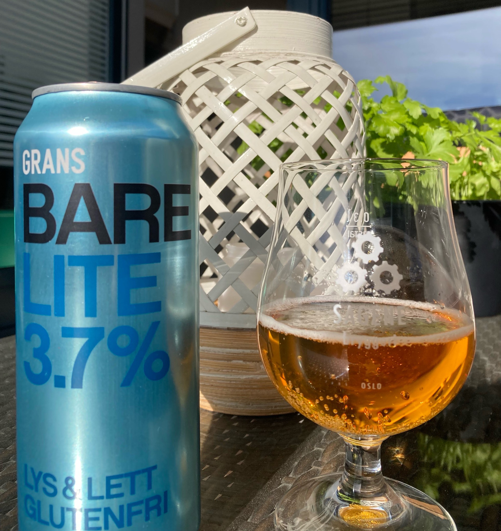 Bare Lite, Norway