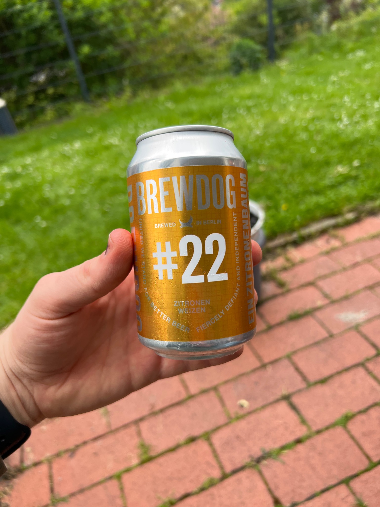 Pilot #22 Zitronen Weizen, Germany