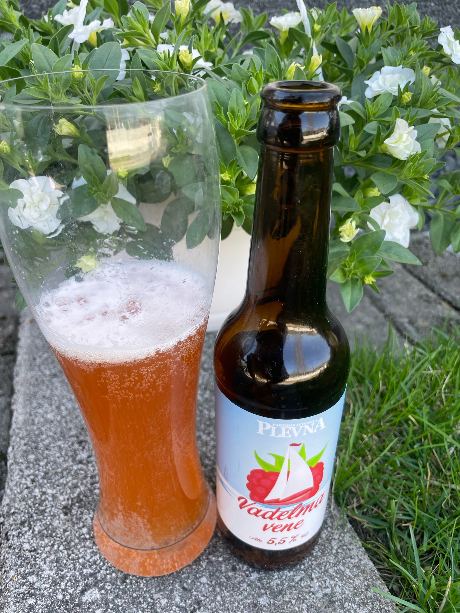 Vadelmavene, Finland