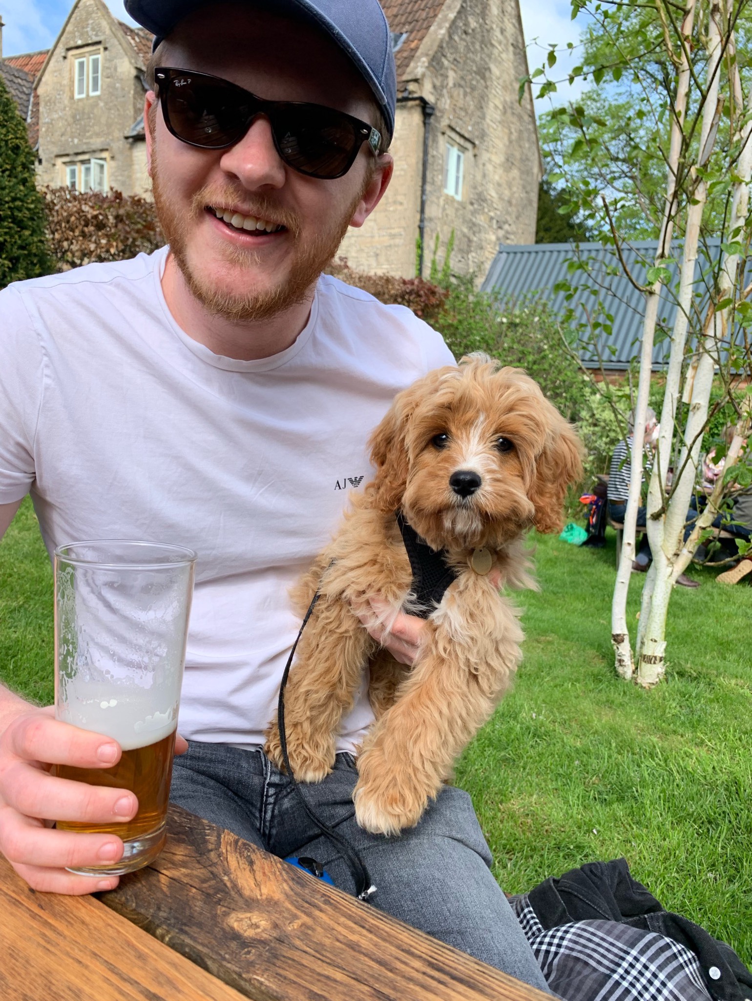 Lagunitas waldos, United States