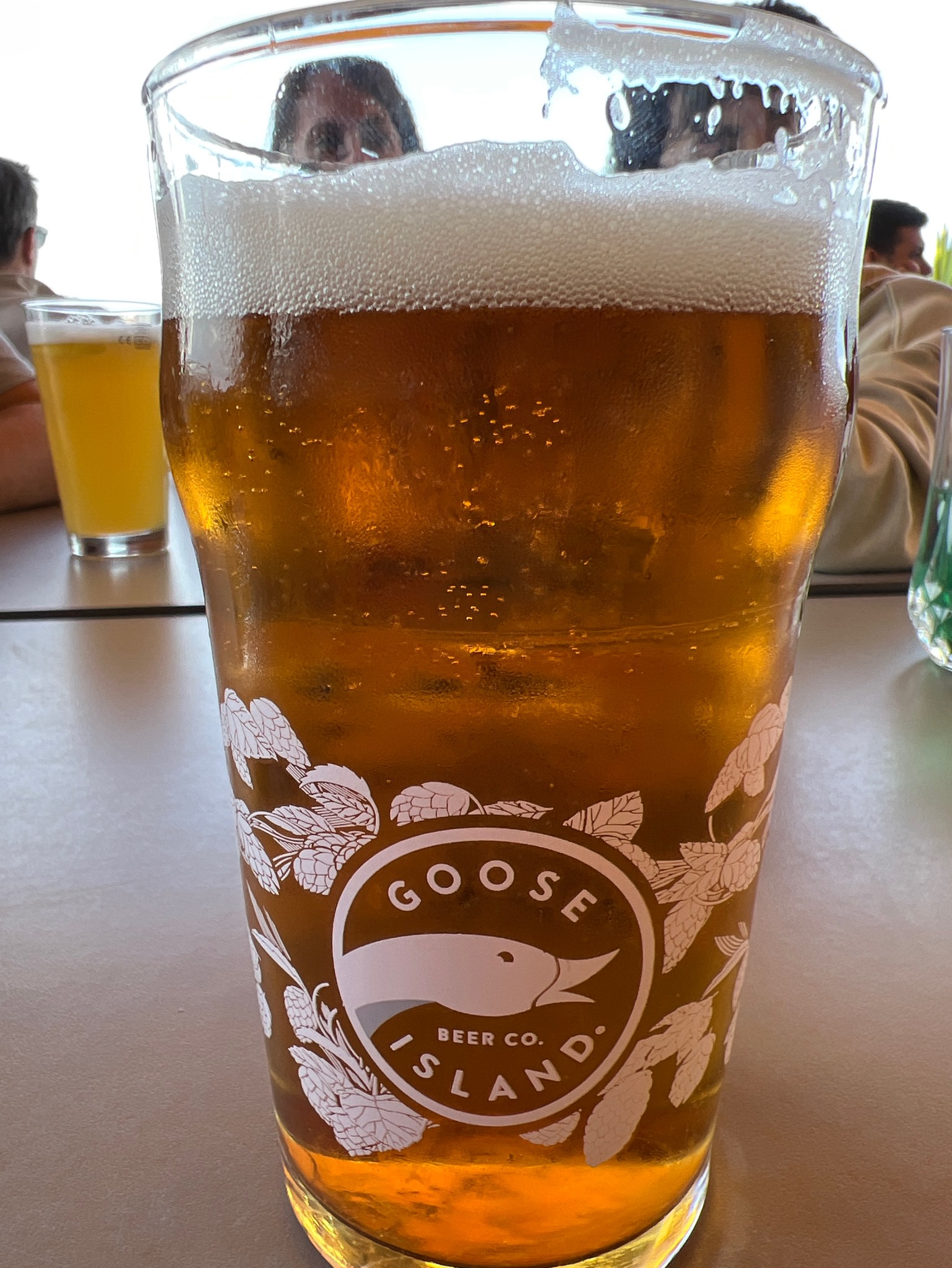 Goose Island Endless IPA, United States