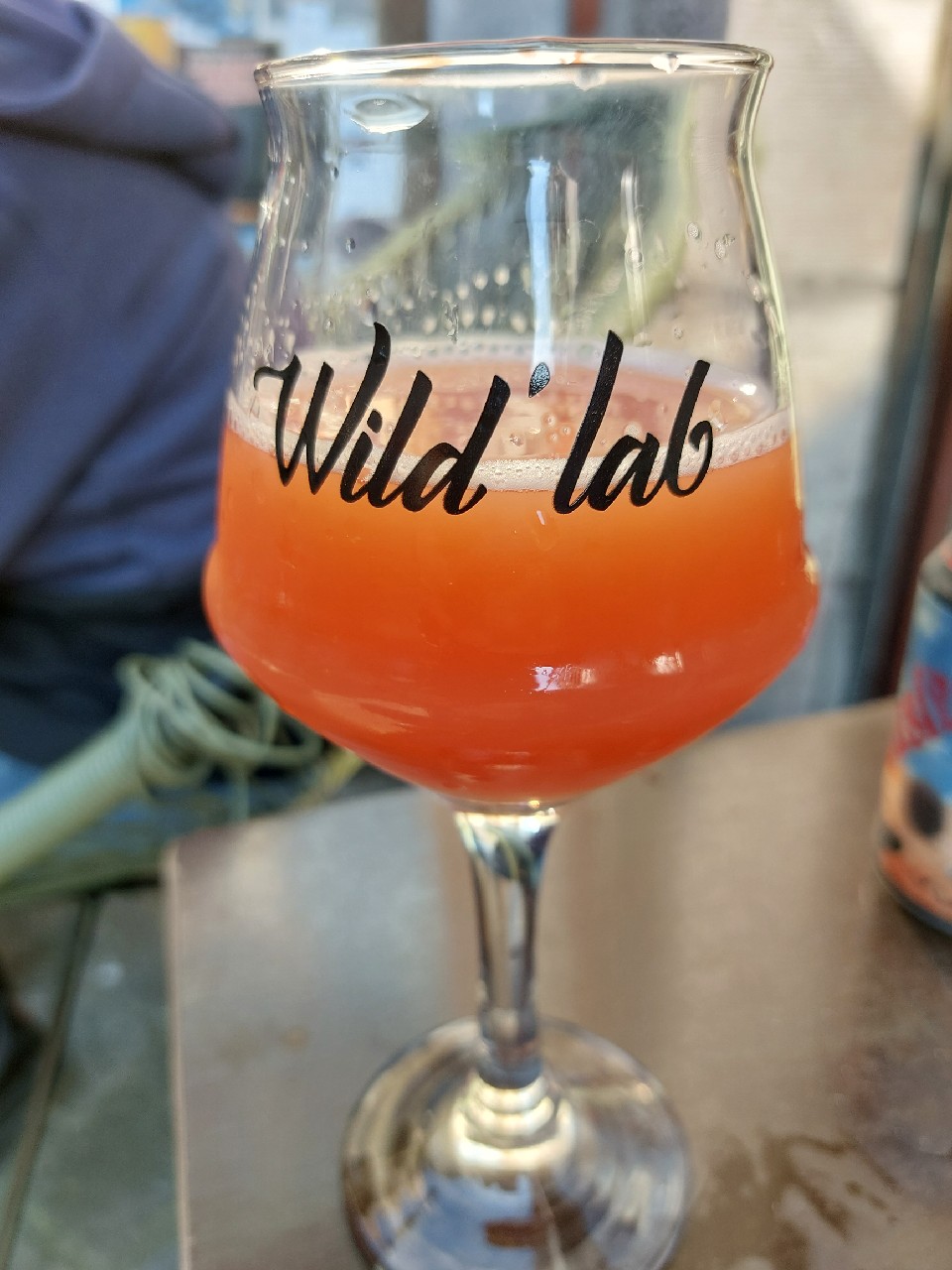 Amorphia, United States