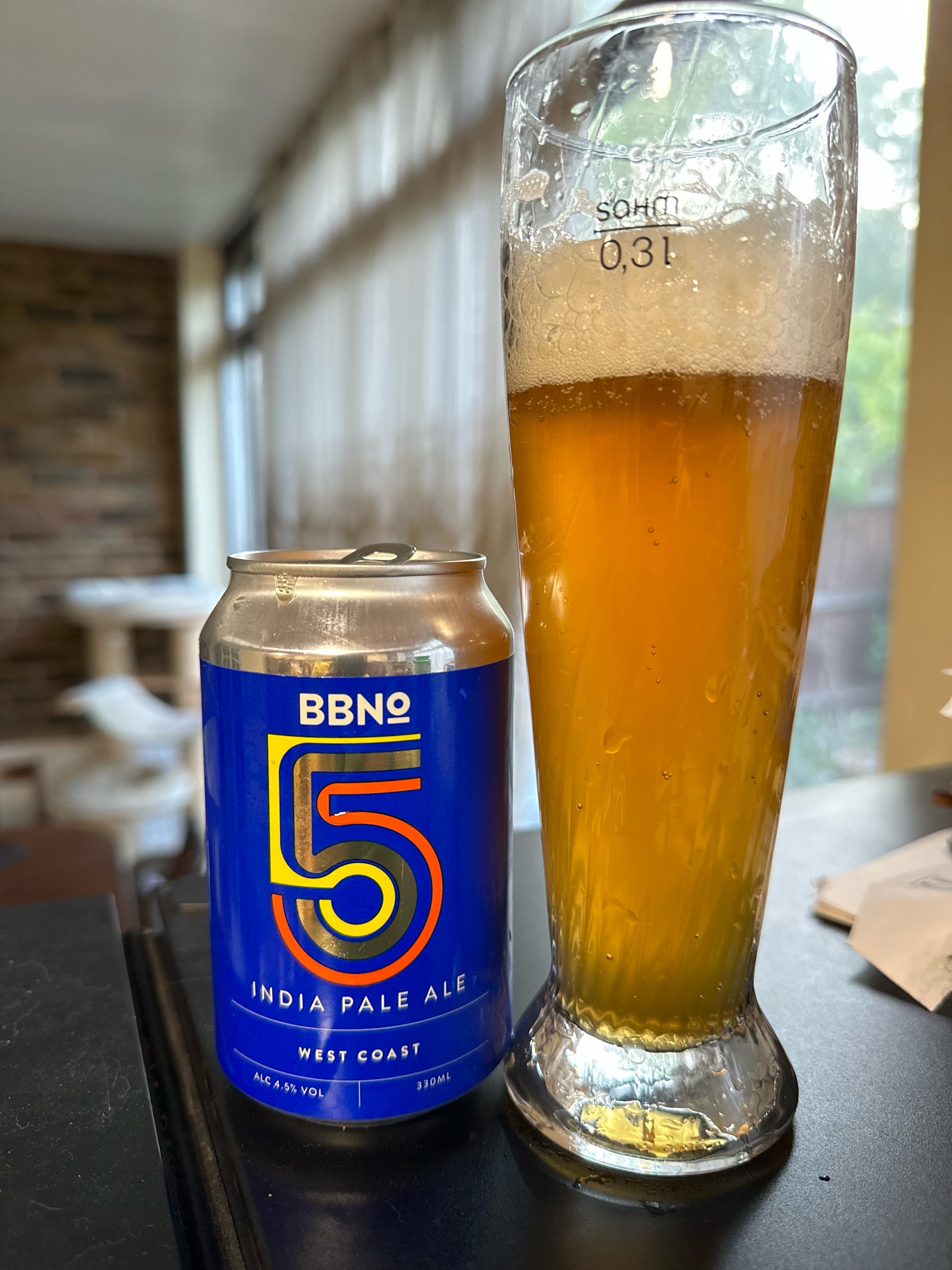 05 India Pale Ale - West Coast, England