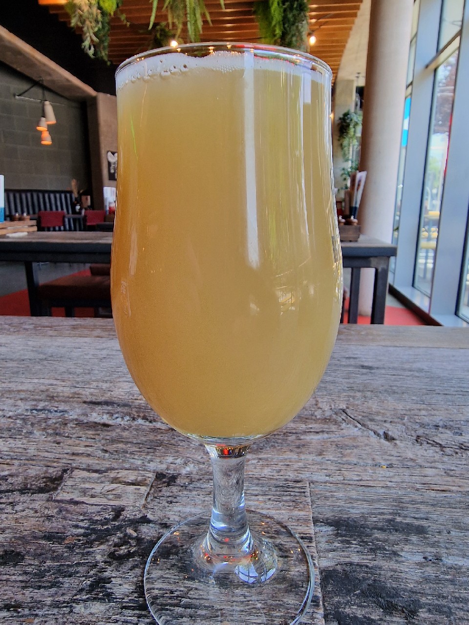 Backseat driver, Scotland