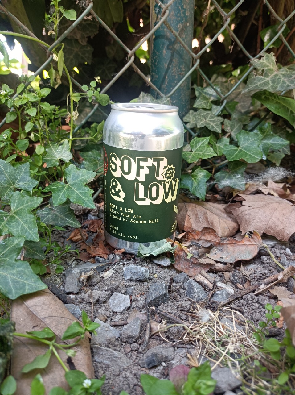 soft and low, Canada