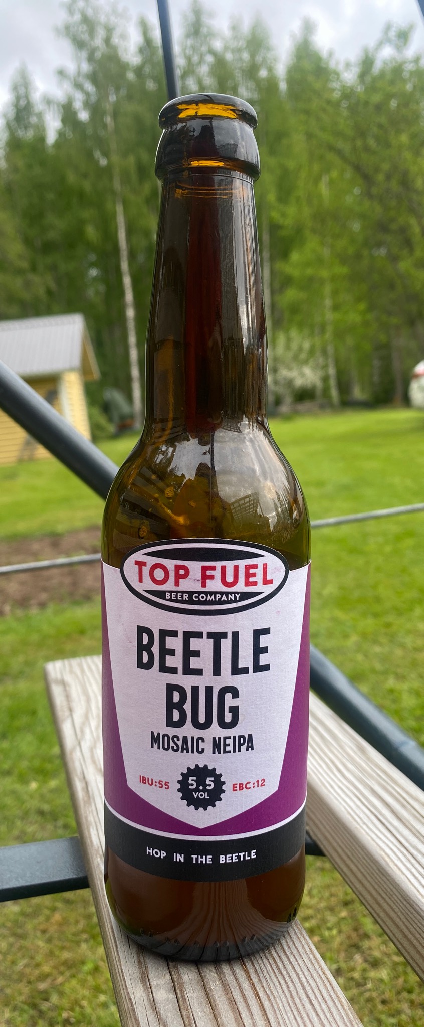 Beetle Bug, Finland