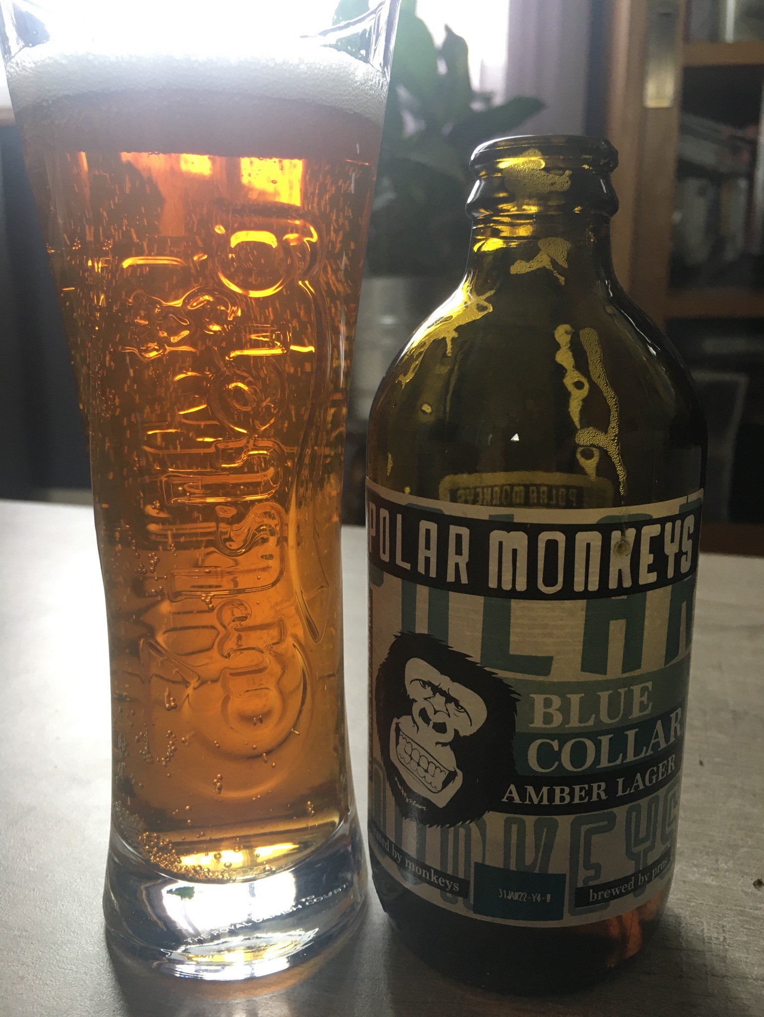 Polar Monkeys Blue Collar, Finland