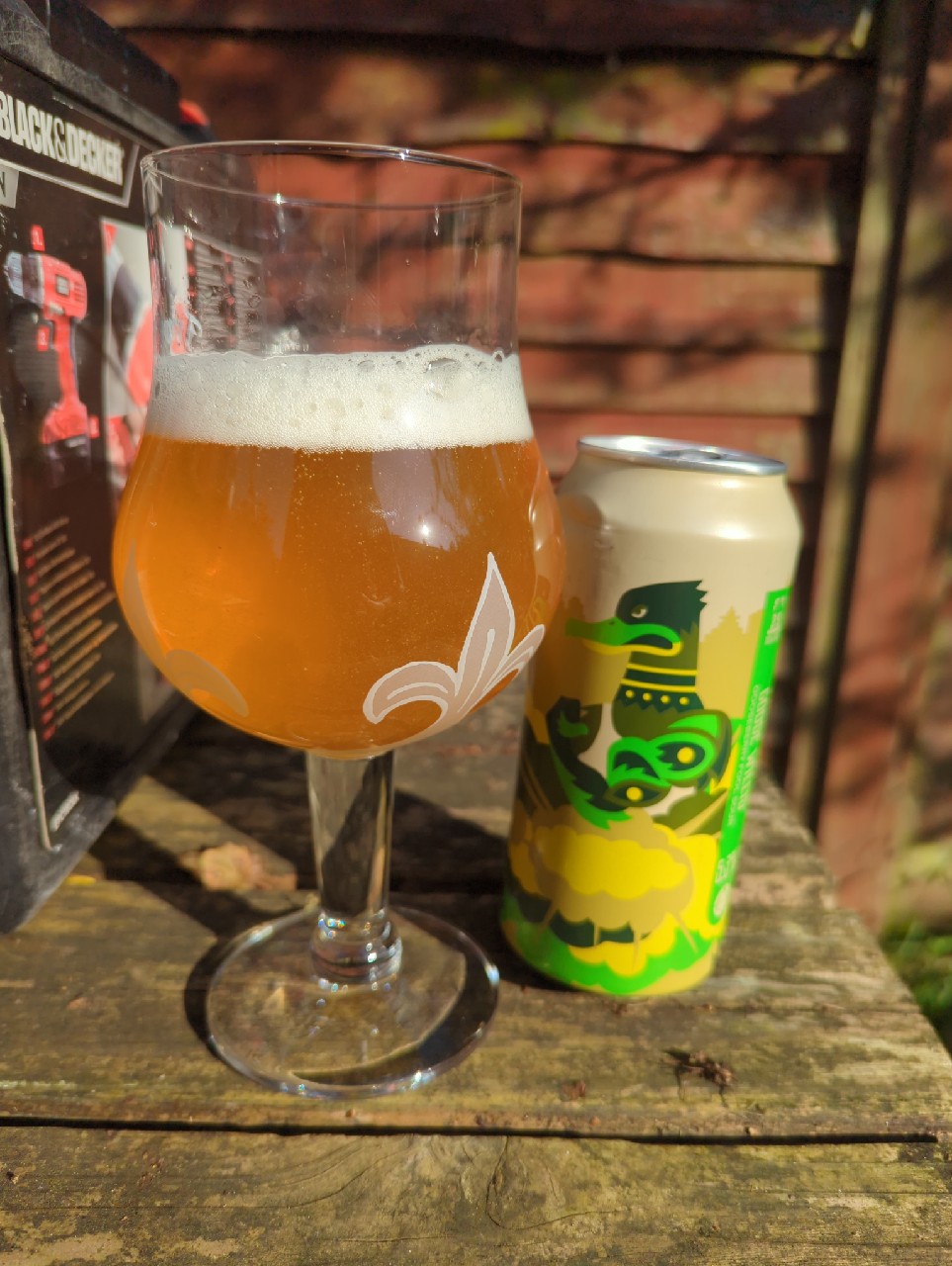 Goose Willis, England