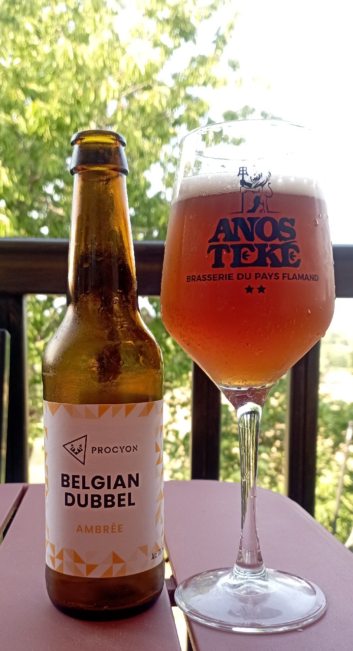 Quitouille Belgian Pale Ale, France