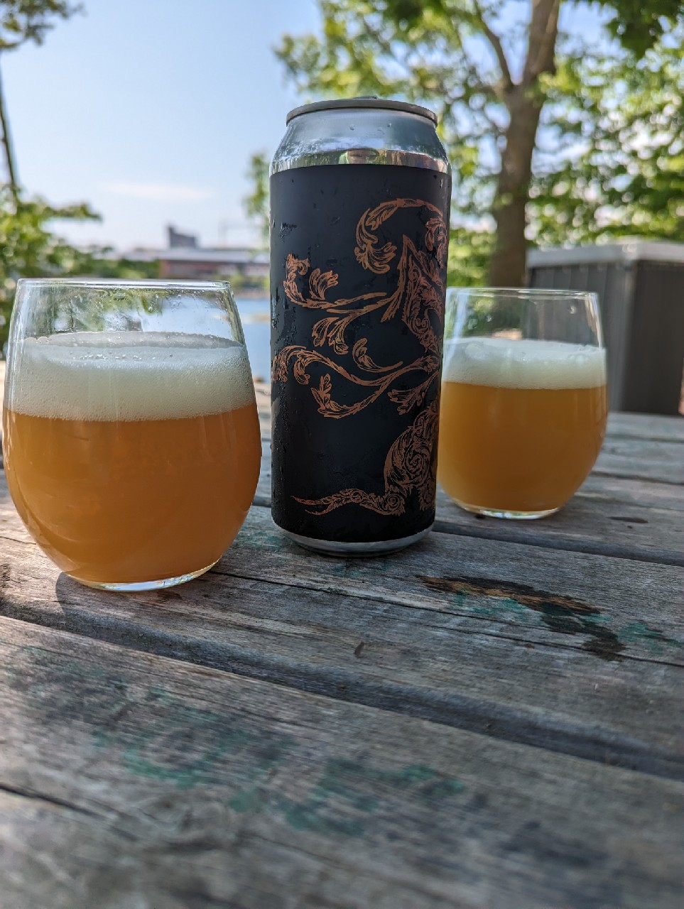 Emperor Julius 8.8 Tree House Brewing Company Pint Please