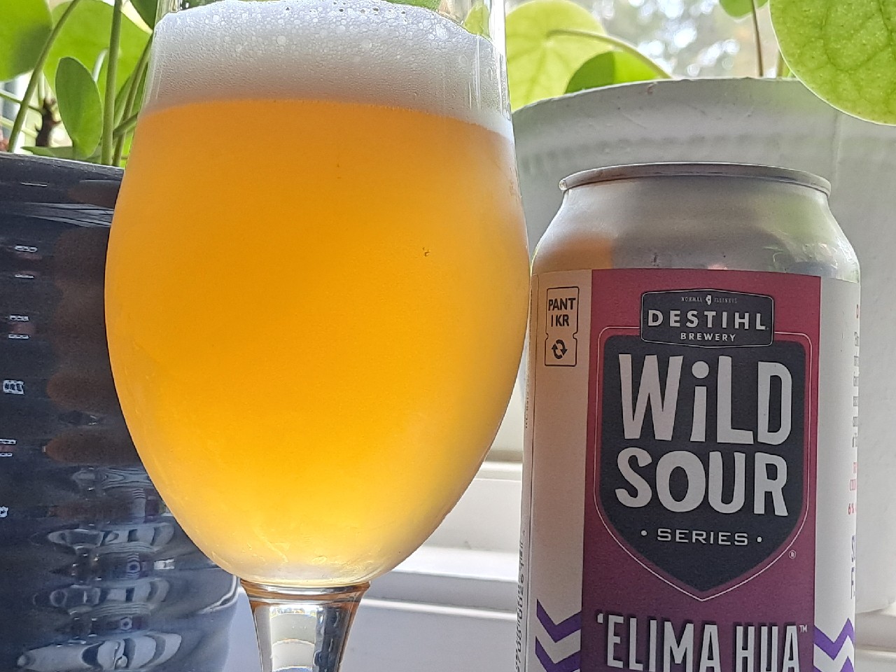 Wild Sour Series: 'Elima Hua, United States
