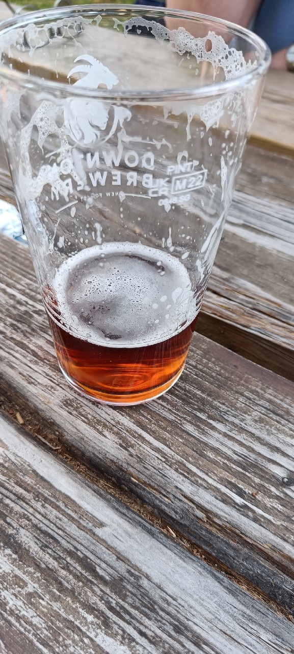 New Forest Ale, England