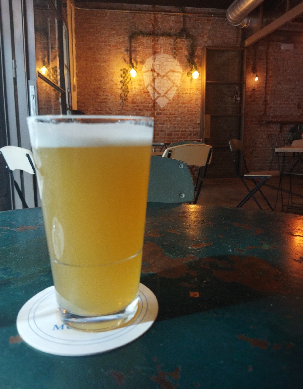 Lupulus X. Styrian Dragon, England