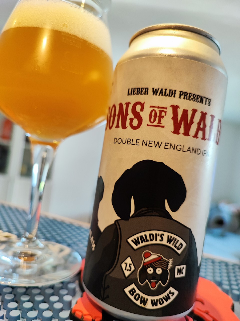 Sons of Waldi, Germany