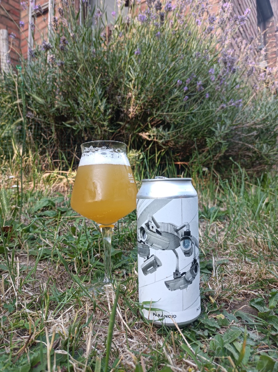 Paranoid, Switzerland