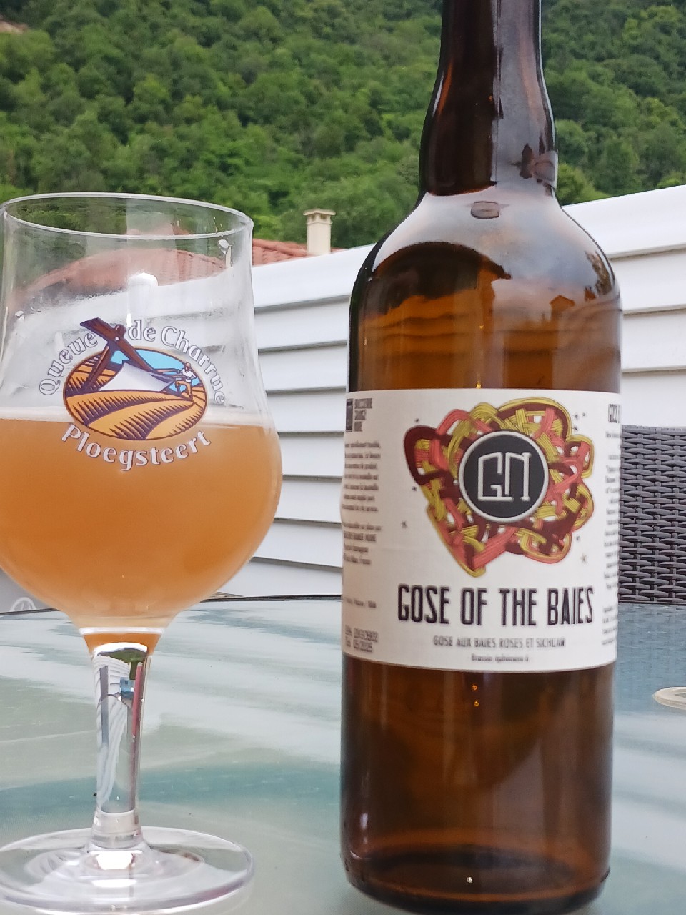 Gose Of The Baies, France