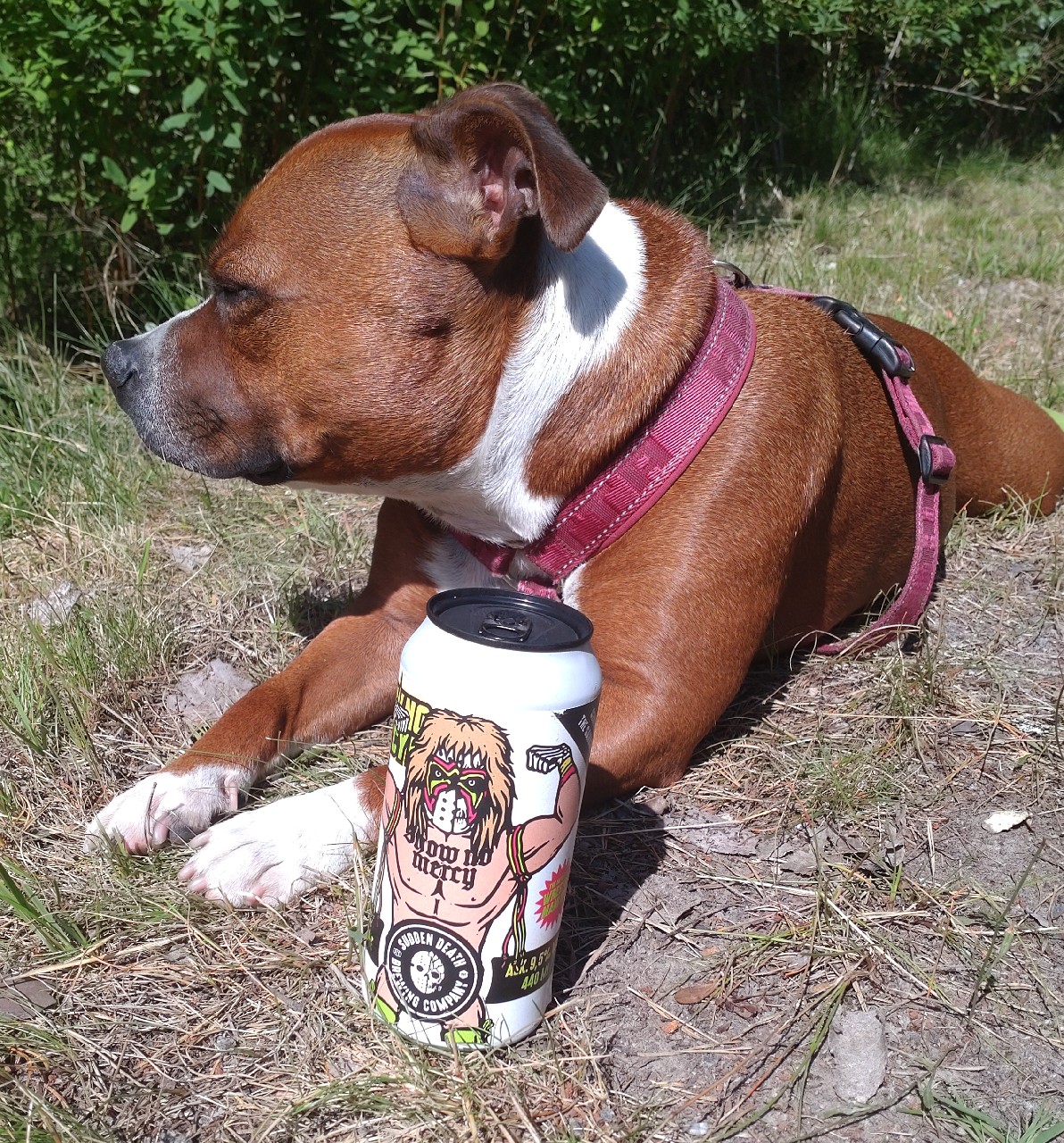 Show no mercy, Germany